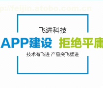 軟件開發外包熱賣促銷